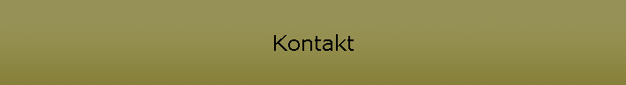Kontakt